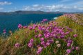 Cork_Kerry_2014 (21)